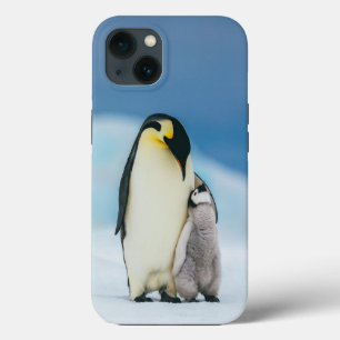Niedliche Kleintiere   Kaiser Penguin Chick Case-Mate iPhone Hülle