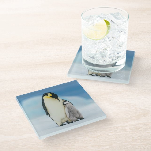 Niedliche Kleintiere | Kaiser Penguin Chick Glasuntersetzer (Schrägansicht)