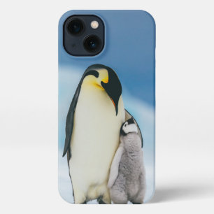 Niedliche Kleintiere   Kaiser Penguin Chick iPhone Hülle
