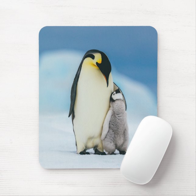 Niedliche Kleintiere | Kaiser Penguin Chick Mousepad (Mit Mouse)