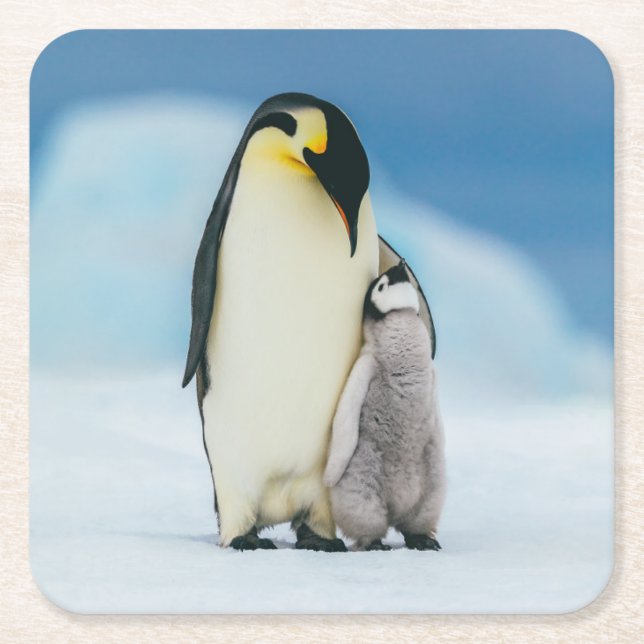 Niedliche Kleintiere | Kaiser Penguin Chick Rechteckiger Pappuntersetzer (Vorderseite)