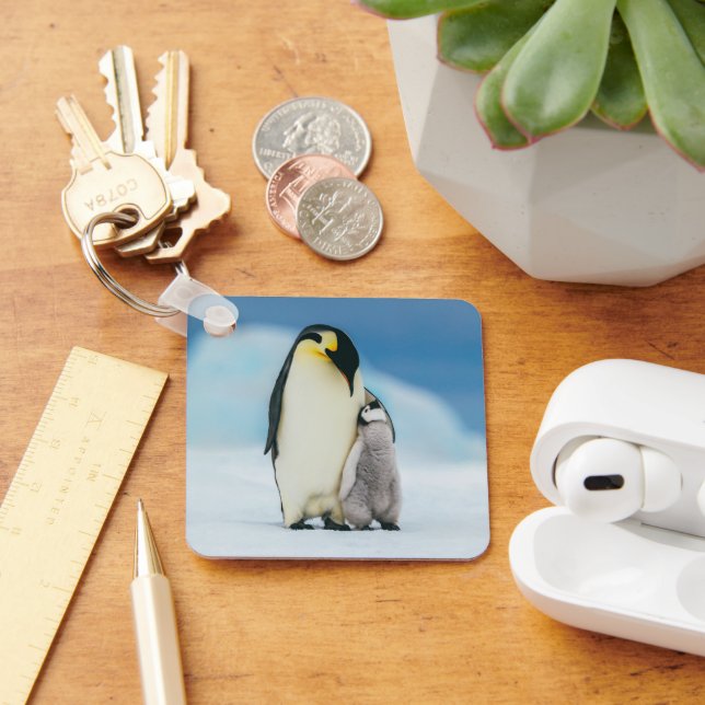 Niedliche Kleintiere | Kaiser Penguin Chick Schlüsselanhänger (Schreibtisch)