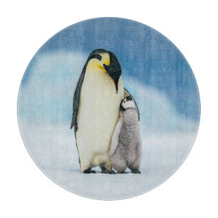 Niedliche Kleintiere Kaiser Penguin Chick Schneidebrett