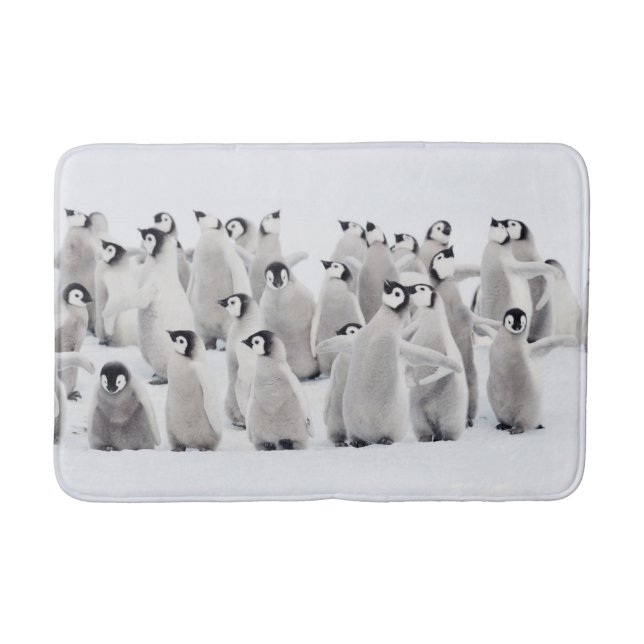 Niedliche Kleintiere | Kaiser Penguin Chicks Badematte (Vorderseite)