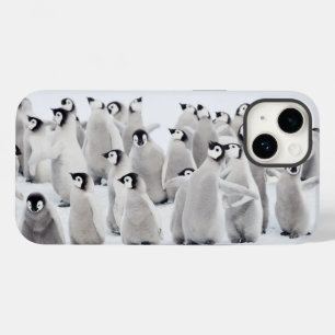 Niedliche Kleintiere   Kaiser Penguin Chicks Case-Mate iPhone 14 Hülle
