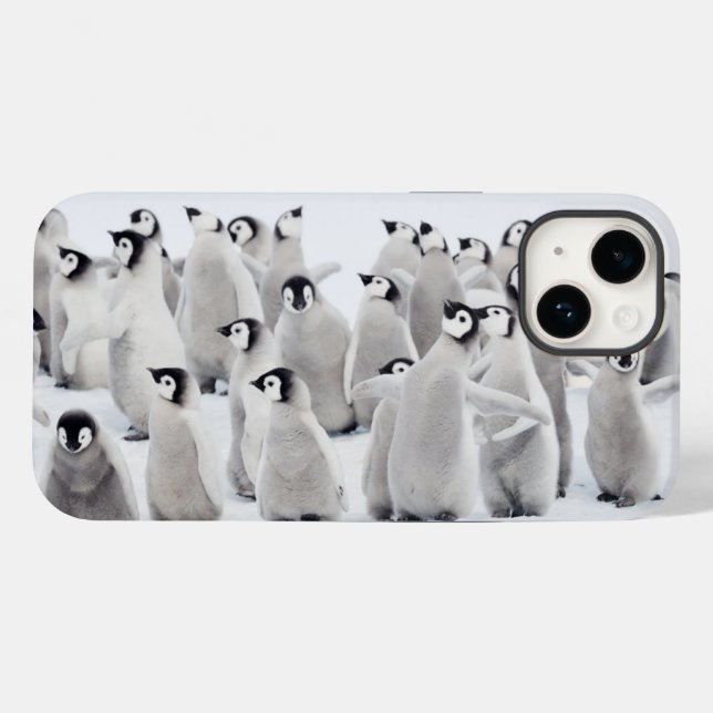 Niedliche Kleintiere | Kaiser Penguin Chicks Case-Mate iPhone 14 Hülle (Rückseite (Horizontal))