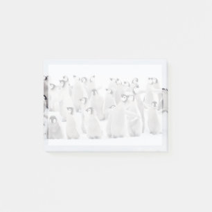 Niedliche Kleintiere Kaiser Penguin Chicks Post-it Klebezettel
