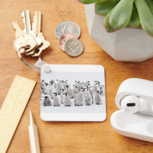 Niedliche Kleintiere   Kaiser Penguin Chicks Schlüsselanhänger