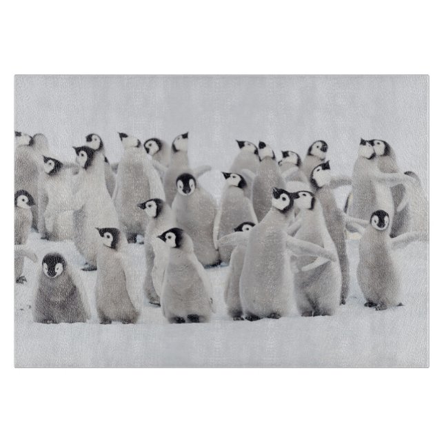 Niedliche Kleintiere | Kaiser Penguin Chicks Schneidebrett (Vorderseite)