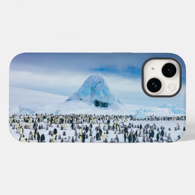 Niedliche Kleintiere | Kaiser-Pinguin-Kolonie Case-Mate iPhone 14 Hülle (Rückseite (Horizontal))