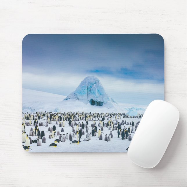Niedliche Kleintiere | Kaiser-Pinguin-Kolonie Mousepad (Mit Mouse)
