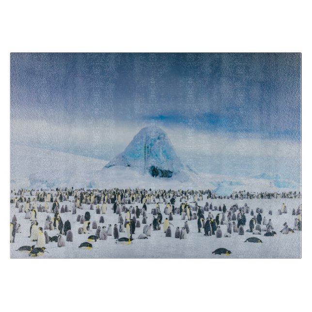 Niedliche Kleintiere | Kaiser-Pinguin-Kolonie Schneidebrett (Vorderseite)