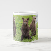 Niedliche Kleintiere | Kamchatka Brown Bear Cubs
