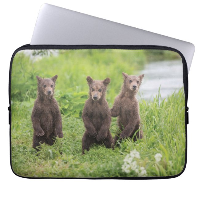 Niedliche Kleintiere | Kamchatka Brown Bear Cubs Laptopschutzhülle (Vorderseite)