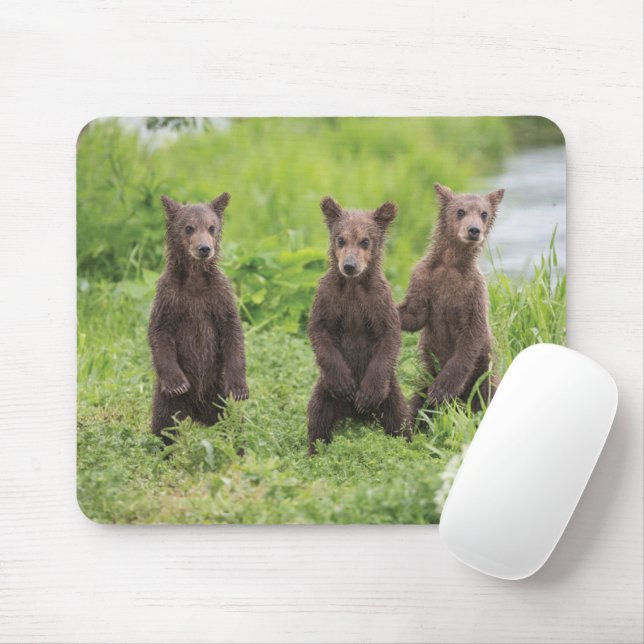 Niedliche Kleintiere | Kamchatka Brown Bear Cubs Mousepad (Mit Mouse)