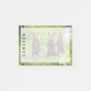 Niedliche Kleintiere Kamchatka Brown Bear Cubs Post-it Klebezettel