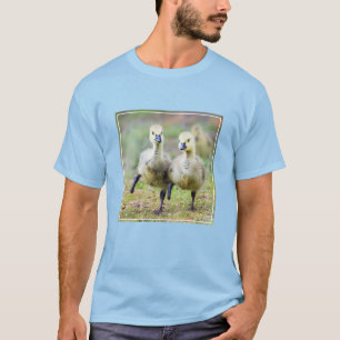 Niedliche Kleintiere   Kanadische Gänse T-Shirt