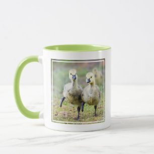 Niedliche Kleintiere   Kanadische Gänse Tasse