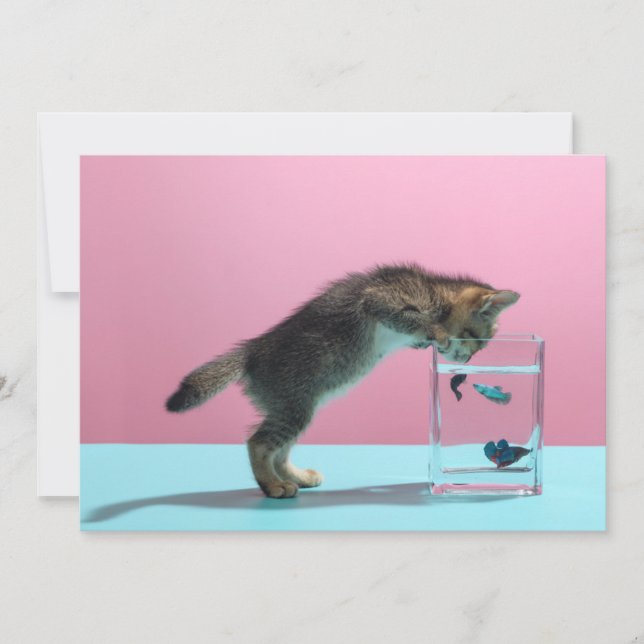 Niedliche Kleintiere | Kätzchen Blick auf Fischsch Dankeskarte (Vorderseite)
