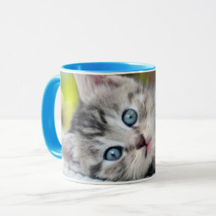 Niedliche Kleintiere   Kätzchen mit blauen Augen Tasse