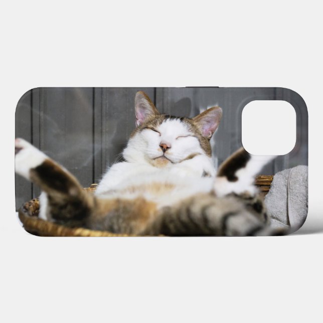 Niedliche Kleintiere | Katze im Bett Case-Mate iPhone Hülle (Rückseite (Horizontal))