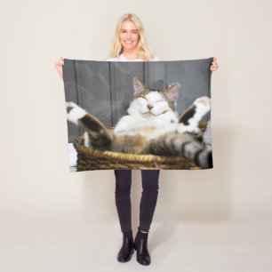 Niedliche Kleintiere   Katze im Bett Fleecedecke