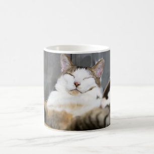 Niedliche Kleintiere   Katze im Bett Kaffeetasse