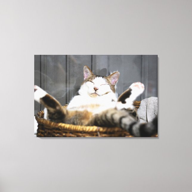 Niedliche Kleintiere | Katze im Bett Leinwanddruck (Vorderseite)