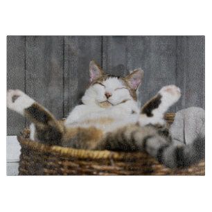 Niedliche Kleintiere Katze im Bett Schneidebrett