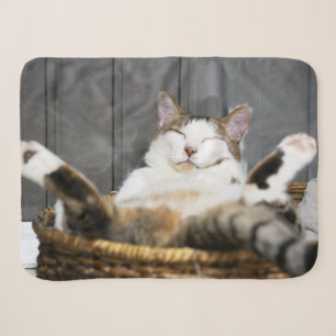 Niedliche Kleintiere   Katze im Bett Sherpadecke