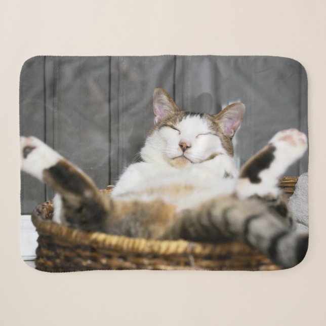Niedliche Kleintiere | Katze im Bett Sherpadecke (Vorderseite (Horizontal))