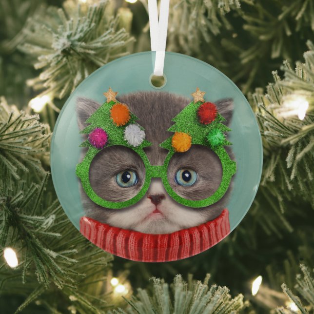 Niedliche Kleintiere | Katzenweihrrüber Ornament Aus Glas (InSitu)