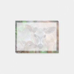 Niedliche Kleintiere   Key Deer Stag & Fawn Post-it Klebezettel