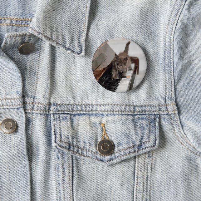 Niedliche Kleintiere | Kitten auf Piano Button (Beispiel)