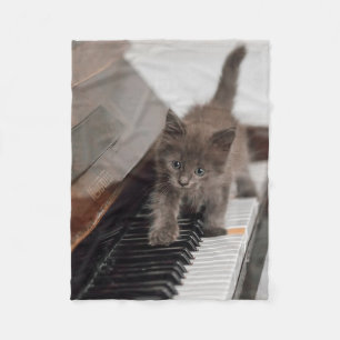 Niedliche Kleintiere   Kitten auf Piano Fleecedecke