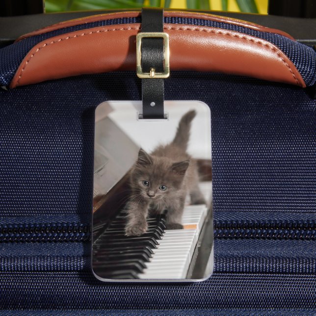 Niedliche Kleintiere | Kitten auf Piano Gepäckanhänger (Vorderseite Insitu 2)