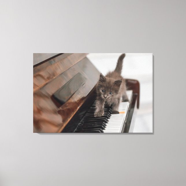 Niedliche Kleintiere | Kitten auf Piano Leinwanddruck (Vorderseite)