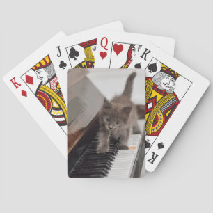 Niedliche Kleintiere   Kitten auf Piano Spielkarten
