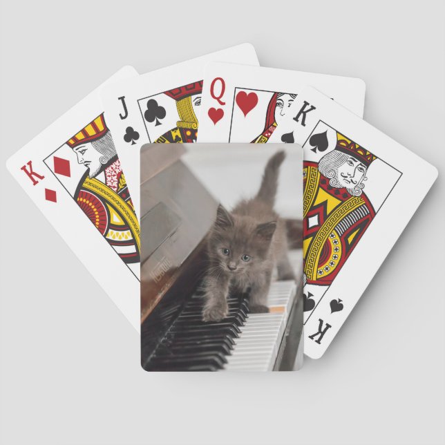 Niedliche Kleintiere | Kitten auf Piano Spielkarten (Rückseite)