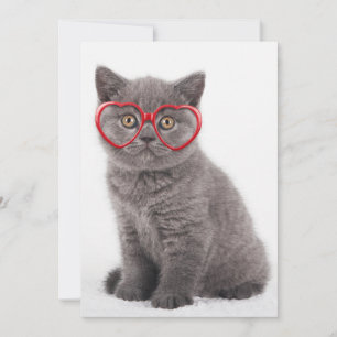 Niedliche Kleintiere Kitten Heart Glasses Dankeskarte