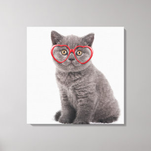 Niedliche Kleintiere   Kitten Heart Glasses Leinwanddruck