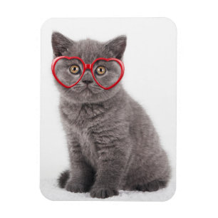 Niedliche Kleintiere   Kitten Heart Glasses Magnet