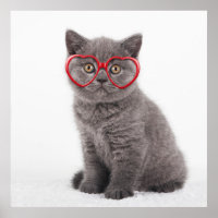 Niedliche Kleintiere | Kitten Heart Glasses