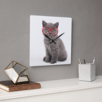 Niedliche Kleintiere | Kitten Heart Glasses