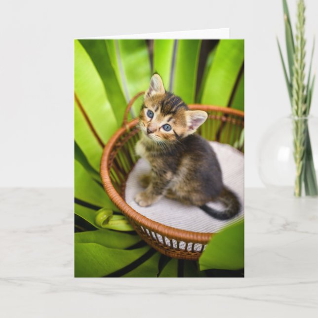 Niedliche Kleintiere | Kitten in Basket Karte (Vorderseite)