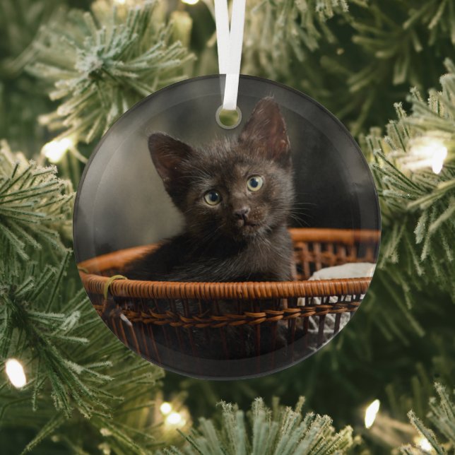 Niedliche Kleintiere | Kitten in Basket Ornament Aus Glas (InSitu)