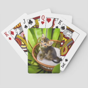 Niedliche Kleintiere   Kitten in Basket Spielkarten