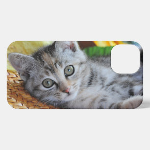 Niedliche Kleintiere   Kitten Lounges iPhone Hülle