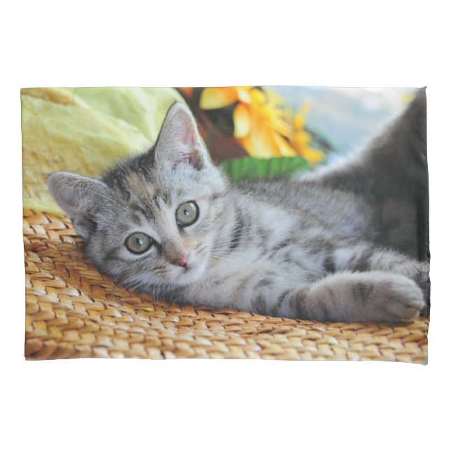 Niedliche Kleintiere | Kitten Lounges Kissenbezug (Vorderseite)