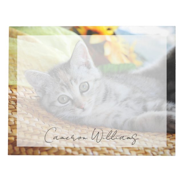 Niedliche Kleintiere | Kitten Lounges Notizblock (Vorderseite)